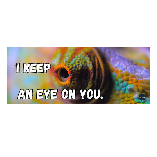 Reptile Cage Sign - "I Keep An Eye On You