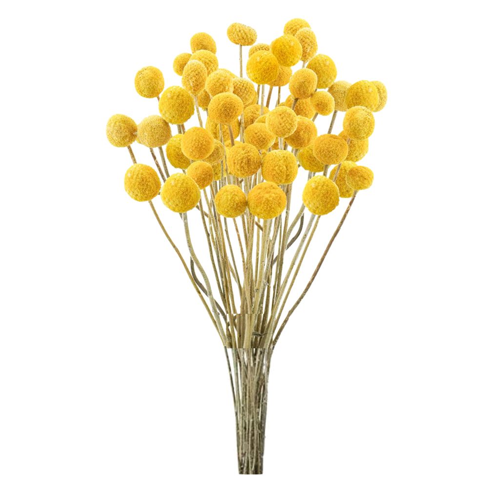 Home Decor Billy Balls Artificial Flowers Party Events Yellow 20 Piece