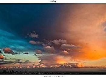 Hotel Ambient (Vinyl)