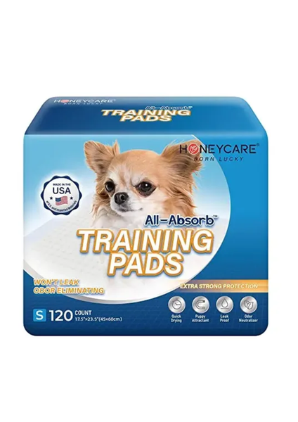 HONEY CARE All-Absorb Training Pads Small