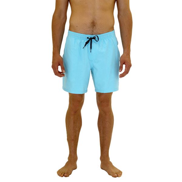 Quiksilver Mens Everyday 17" Volley Shorts