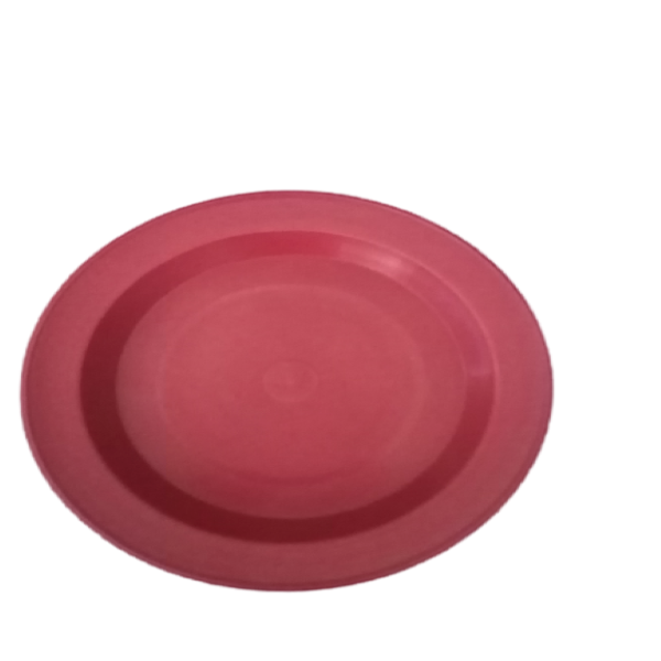 Dinner Plastic Plates - Set of 20