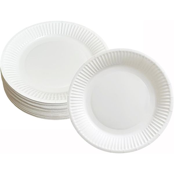 10Pack Round Paper Plates,White Disposable Dessert Plates for Birthdays
