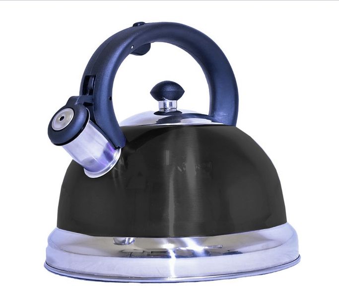 Stylish 3L Stainless Steel Whistling Kettle
