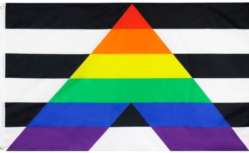 LGBTQi+ Ally / Straight Alliance Large Indoor/Outdoor Flag / 3X5FT 90x150cm