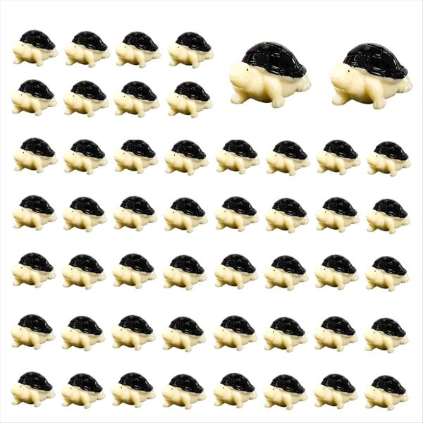 Tortoise image
