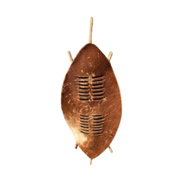 Large White and Brown Zulu Traditional Cultural Shield (isihlangu)