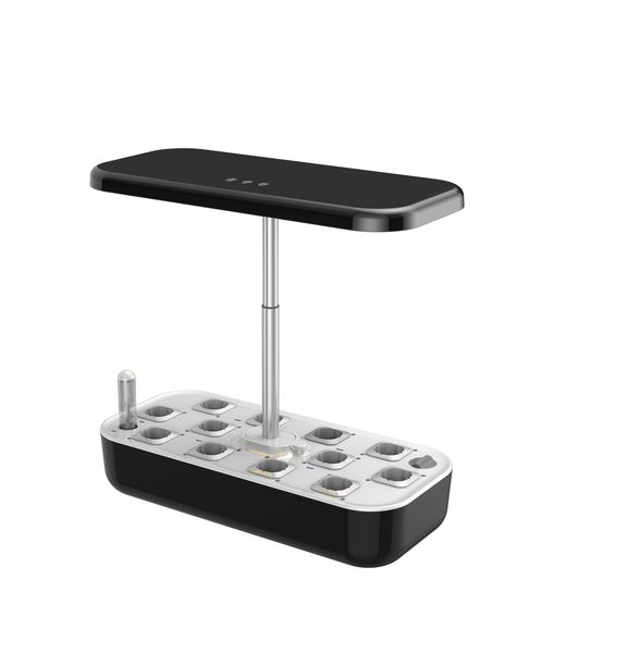 Hydroponic Indoor Smart Garden