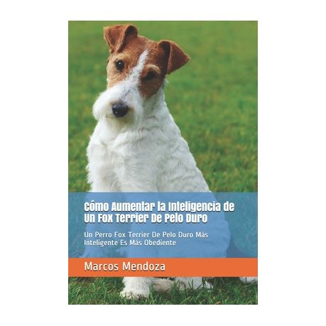 son los perros terrier inteligentes