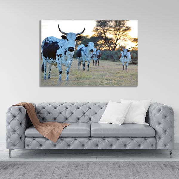0018 Canvas Wall Art Nguni Cowhorn