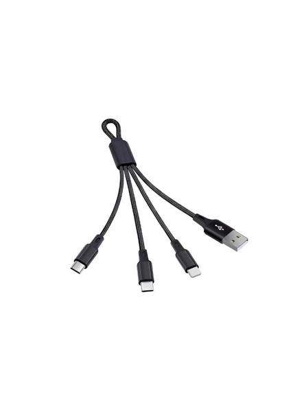 3-in-1 Charging Cable