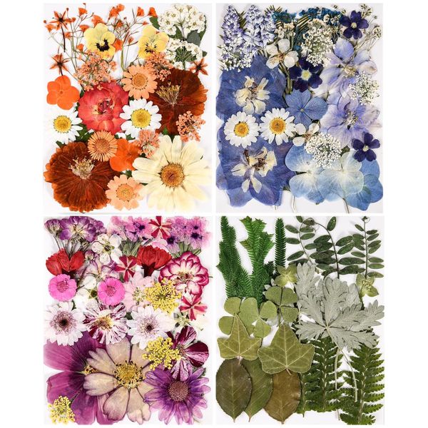 110+ PCS Real Dried Pressed Flowers &amp; Leaves Natural Botanical Real Flowers