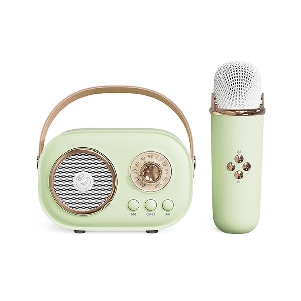3A C20 Plus Multifunctional Karaoke Bluetooth Speaker With Microphone