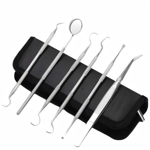6 Pieces - Professional Dental Cleaning Plaque Remover Tool - Silver