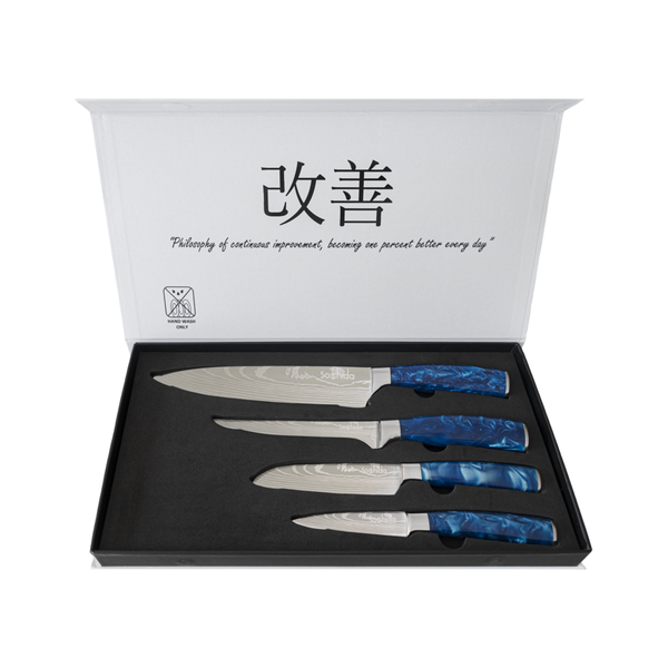 Japanese Modern Chef Knife Set - Blue