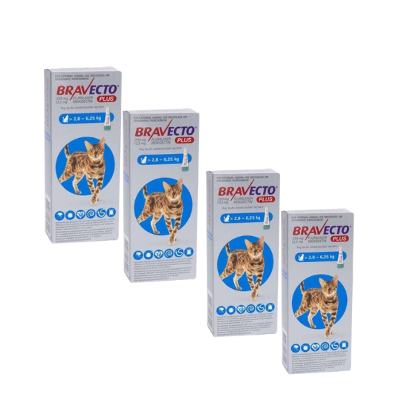 Bravecto Cat Plus Medium -Long Lasting Flea, Tick &amp; Worm Treatment -4 Pack