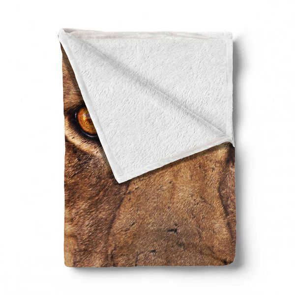 Male Lion Leeu Panthera Kgalagadiv Light Weight Fleece Blanket By Fanie Heymans