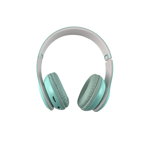 P68 Wireless Headphone with Mic