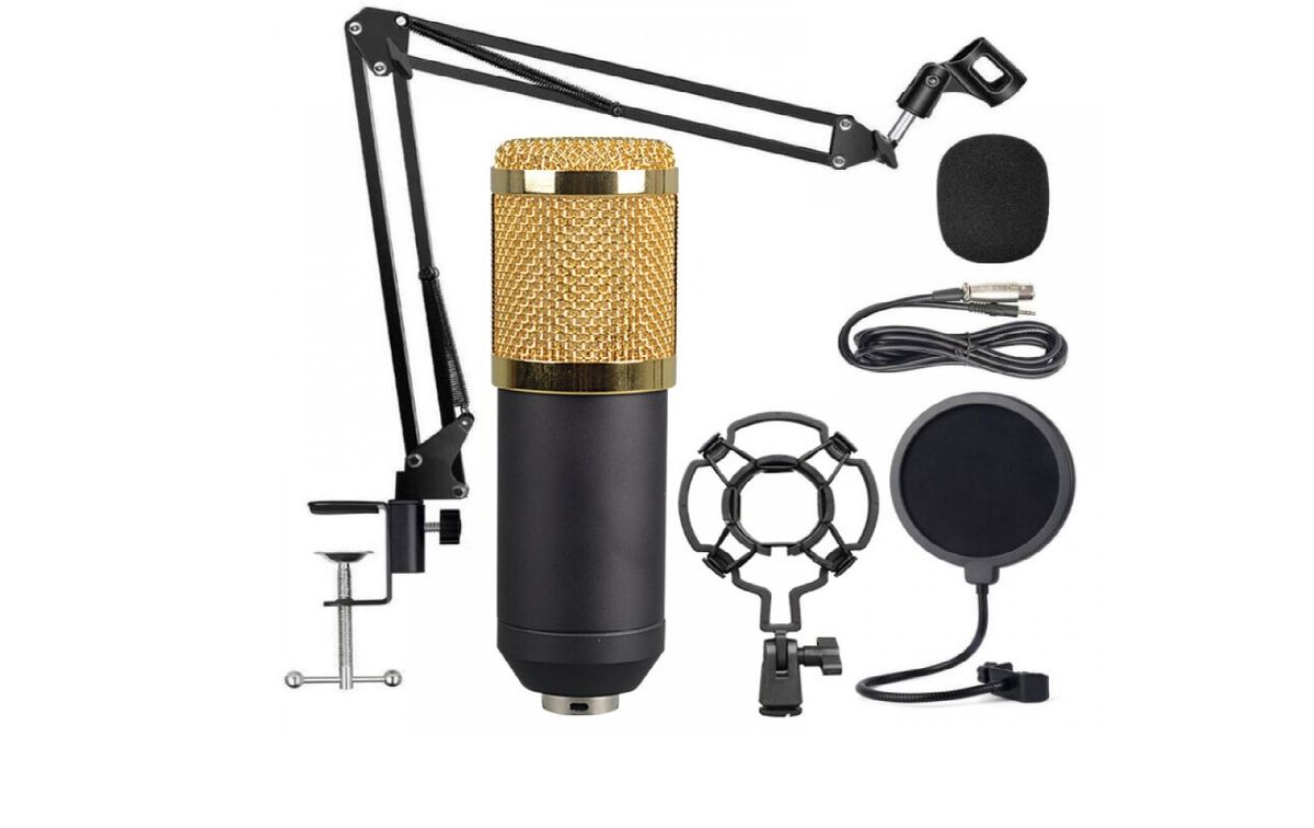 Professional Studio Broadcasting Recording Condenser Microphone