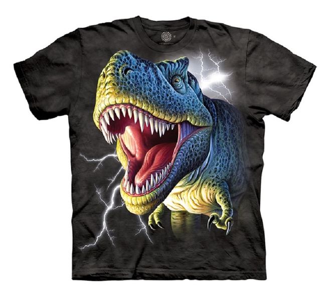 The Mountain - Lightning Rex Youth Tee