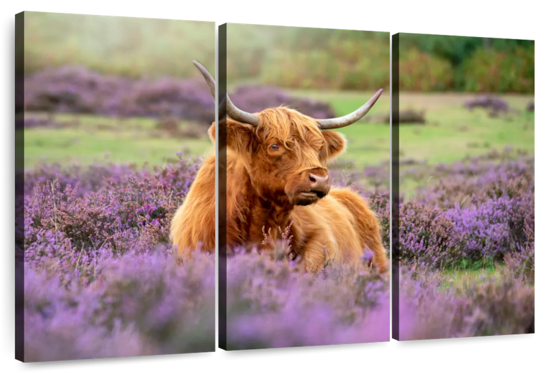 Canvas Art - Highland Cow In Paradise 3 Piece Canvas Wall Art Decor