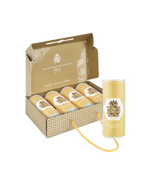 House of BNG Nectar Mimosa 4 x 250 ml Cans