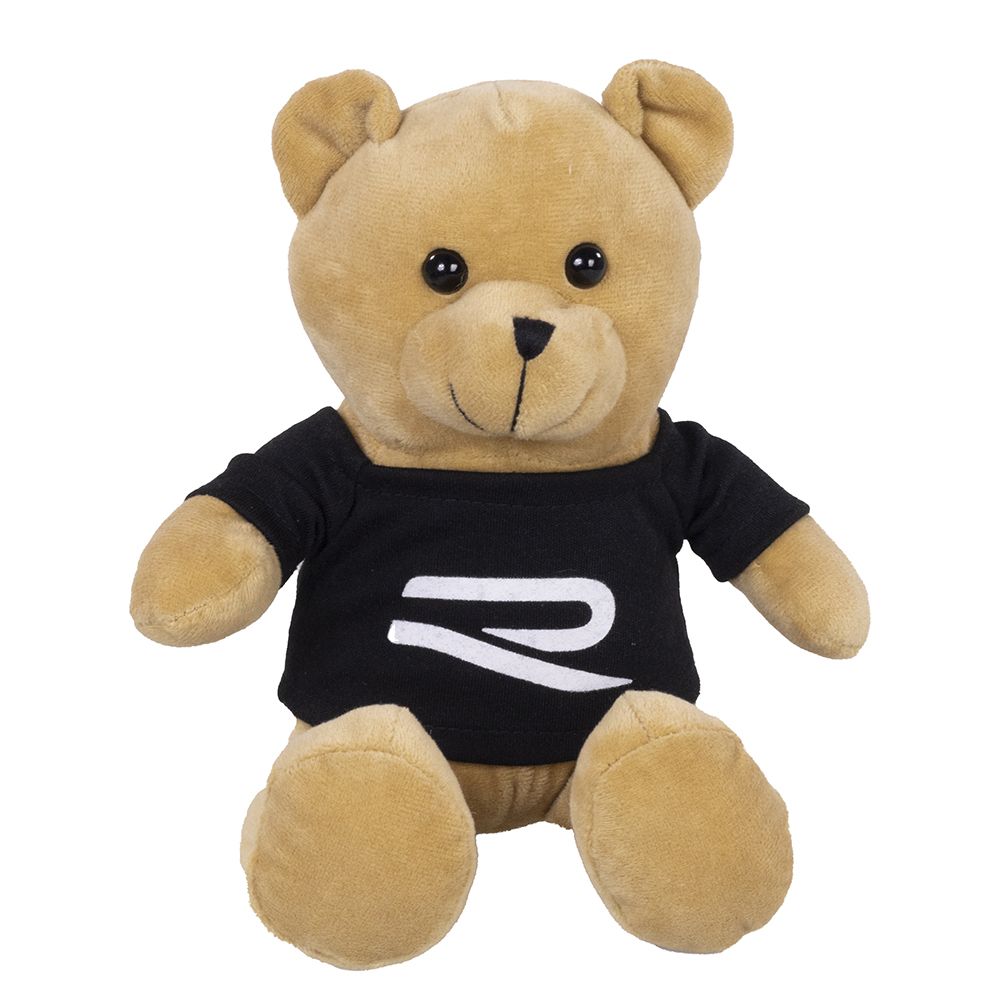 R Teddy | Shop Today. Get it Tomorrow! | takealot.com