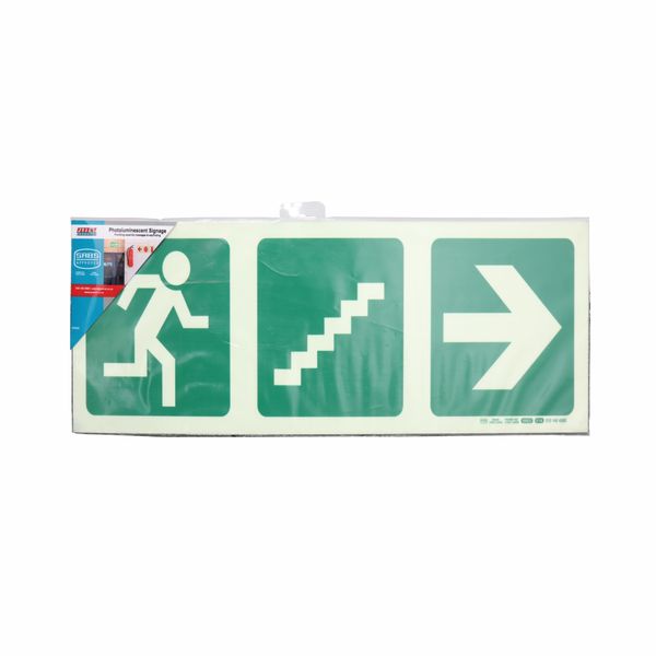Parrot Products Photoluminescent Safety Sign - E18