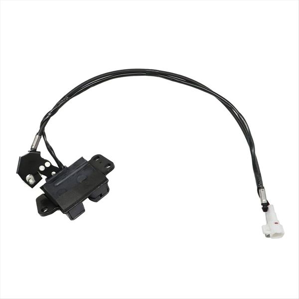for 4Runner 1998-2002 Back Hatch Door Lock Assembly Compatible with Toyota