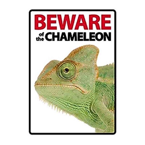 Beware of the Chameleon