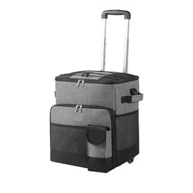 Portable Thermal Insulation Cooler Trolley Bag | Shop Today. Get it ...