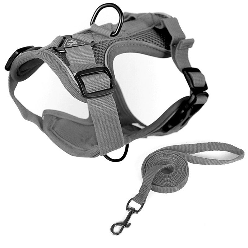 premium-pet-harness-with-leash-set-shop-today-get-it-tomorrow