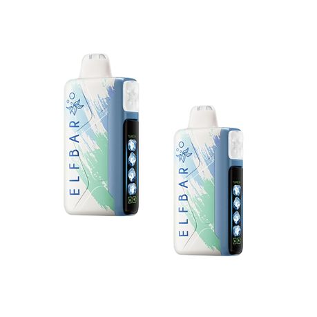 Elfbar 25000 Puffs Disposable Vape 5 Level Miami Mint 2-Pack | Shop Today.  Get it Tomorrow! | takealot.com