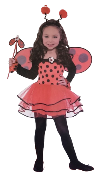 Cute Ladybug Costume for Kids