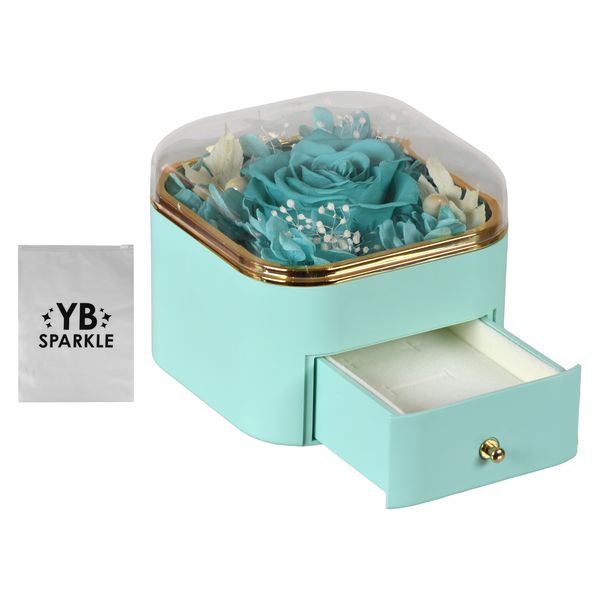 Jewellery Box Stylish Storage Case + Sparkle Storage Bag
