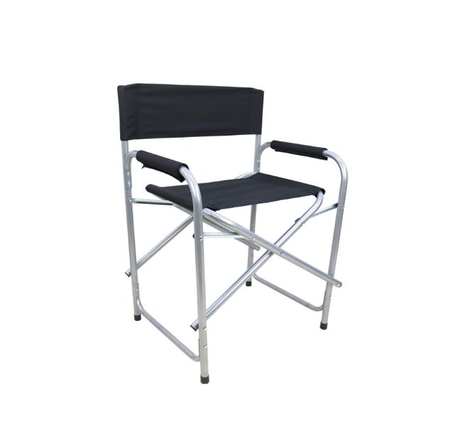Director's Chair Steel