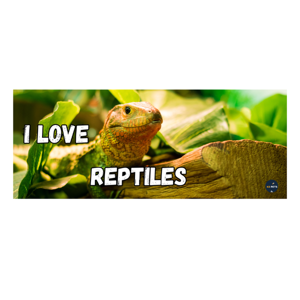 Reptile Cage Sign - "I Love Reptiles" (Snake)