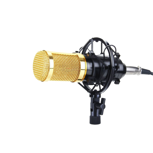 BM800 Microphone with Shock Mount