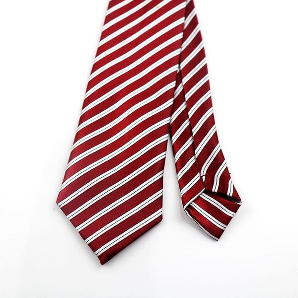 Men'sCasual Polyester Tie - MC22