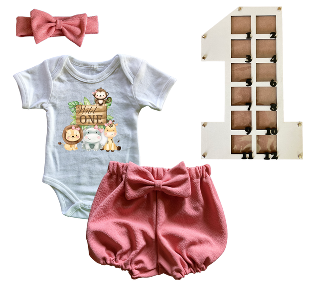 First Birthday Outfit-Bubble shorts &amp; Photo Frame- Pink-Wild One