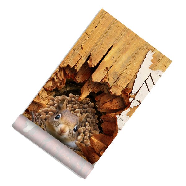 Squirrel In Burrow Door Decoupage