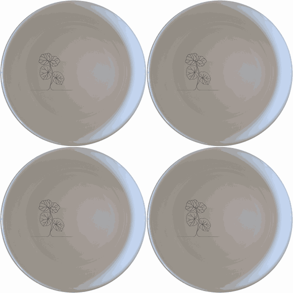 Begonia Maculata Bowl Set of 4 - Range 2