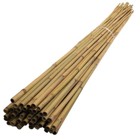 Bundle of 20 Natural Green Bamboo Poles / Stakes, approx 3/8 x 18