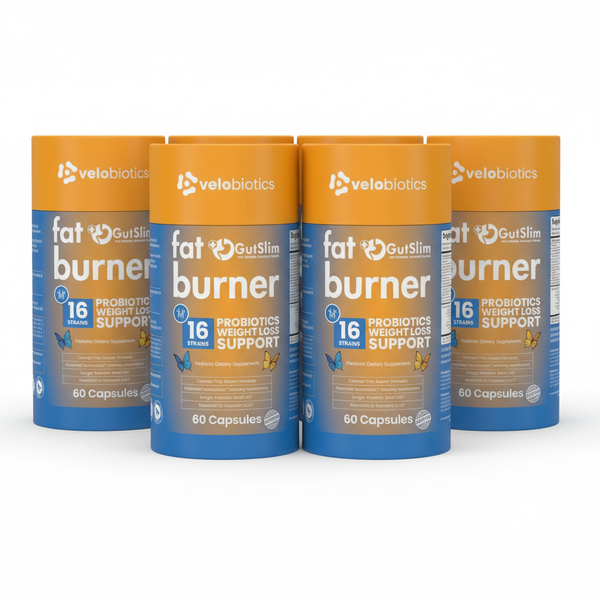 GutSlim Probiotics Fat Burner 90 Days Supply (6 x 60 Caps)