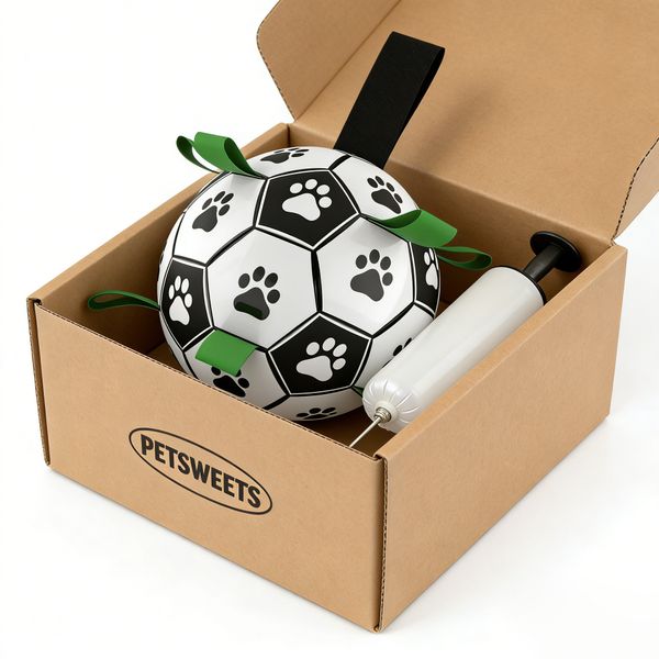 Dog Canine Football Toy with 1 Pump