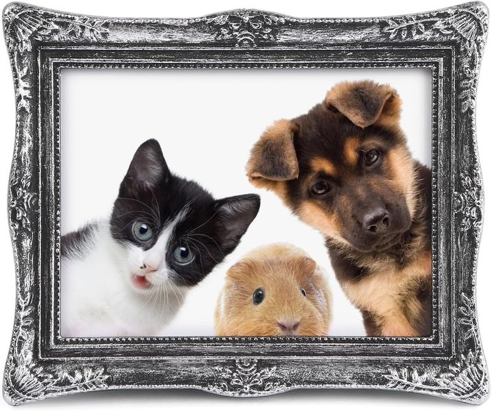A4 Fridge Magnet Hollow Butterfly Specimen Photo Frame
