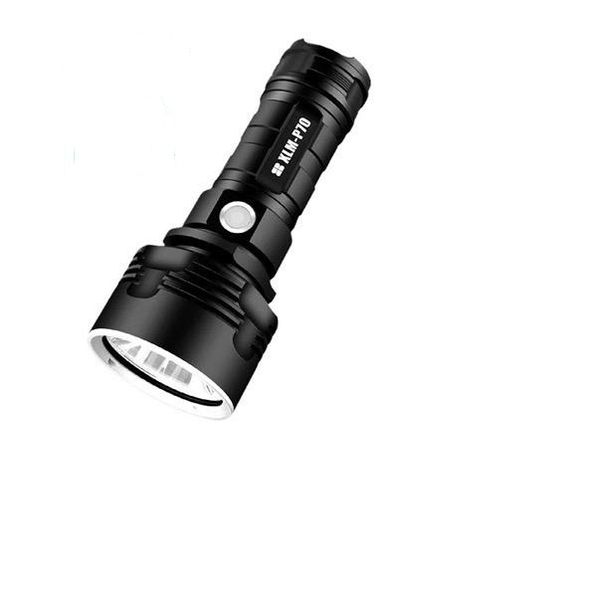 Waterproof Flashlight