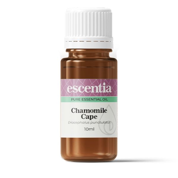 Escentia Cape Camomile Essential Oil 10ml
