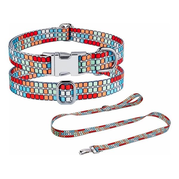 Adjustable Dog Collar and Leash Set for Medium Dogs