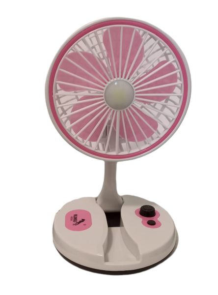 Multi-functional Folding Fan